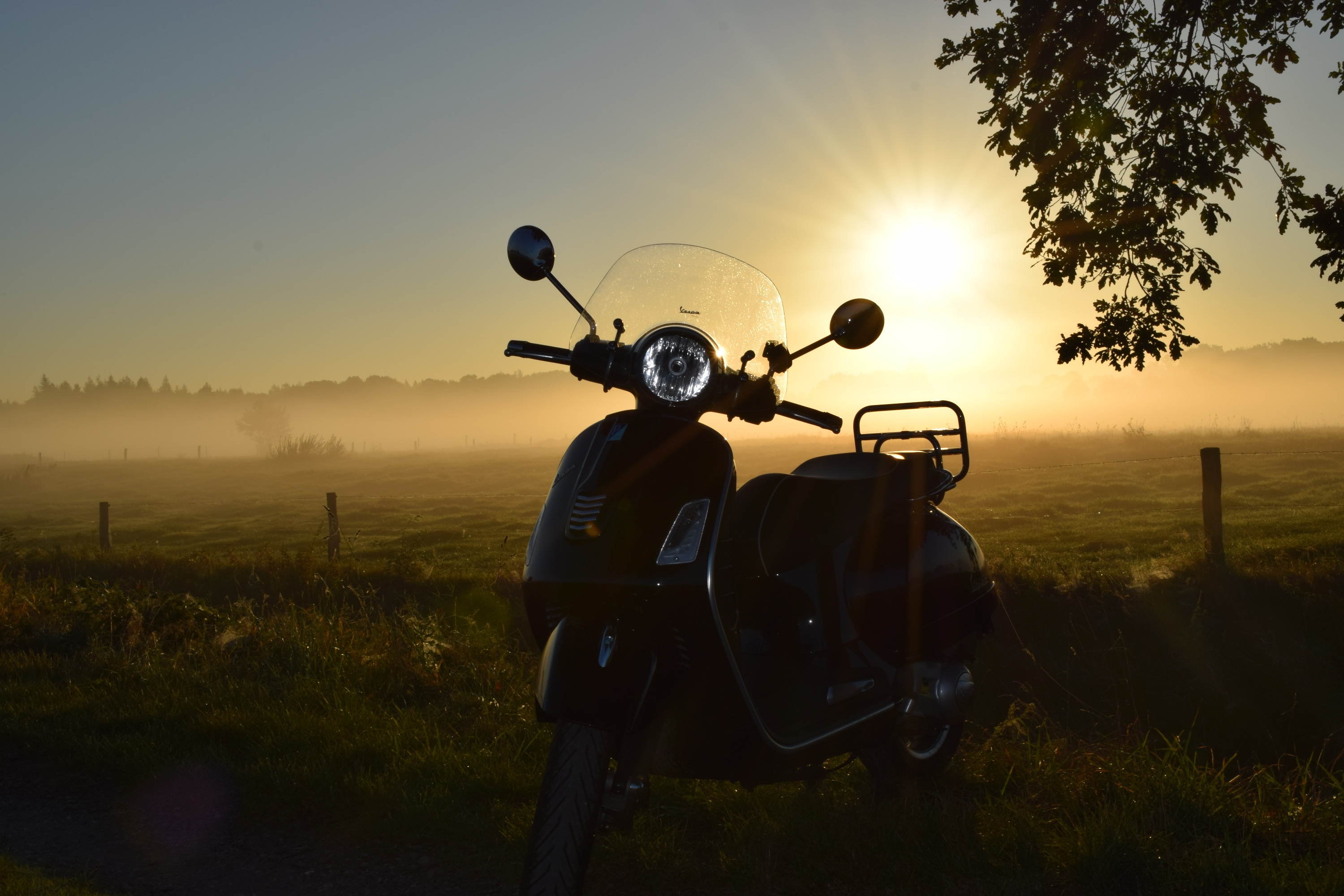 Vespa GTS 300 im Gegenlicht